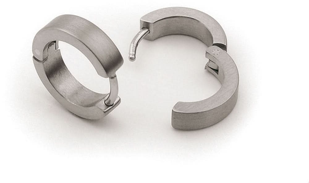 Earrings Pure Titanium - Boccia Jewelry Model: 0510-01