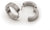 Earrings Pure Titanium - Boccia Jewelry Model: 0510-01