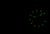 Traser P69 Black Stealth 109854 Men's Watch • H3 Tritium • Swiss Made