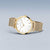Bering Classic 14134-331 Ladies' Watch • Scratch-Resistant Sapphire Crystal • Fine Milanese Bracelet
