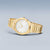 Bering Classic 19641-730 Men's Watch • Scratch-resistant Sapphire Crystal • Fine Milanese Bracelet