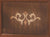 AMS Grandfather Clock 195x50x25 cm Wood • Mechanical 8-day chain movement • Westminster chime