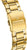 Festina Timeless Chronograph F20705/6 Men's Watch • Gold Design & Green Dial • 10 ATM Water Resistant