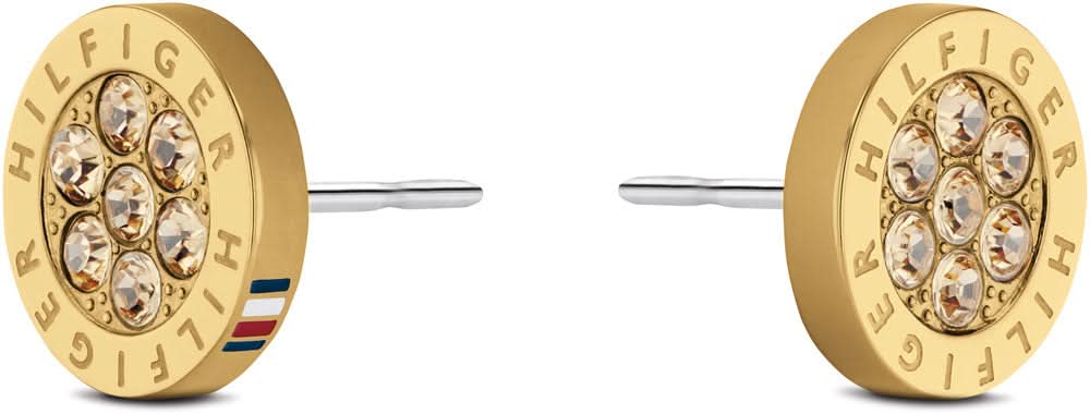 Stainless Steel Earrings - Tommy Hilfiger Model: 2780566