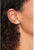Round stud earrings with stones - Tommy Hilfiger Model: 2780663