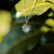 Shade Necklace with Sun Pendant - Holzkern Model: Jewelry