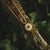 Stencil Necklace with Round Pendant - Wooden Core Model: Jewelry