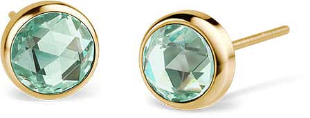 Stainless steel earrings - Bering Jewelry Model: 722-2140-05