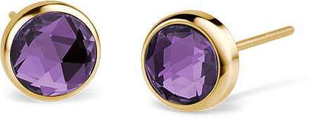 Stainless Steel Earrings - Bering Jewelry Model: 722-2150-05