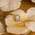 https://www.holzkern.com/media/catalog/product/7/_/7_220124_composition_gem_armband_mondstein_gold_cv_9.jpg