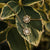 https://www.holzkern.com/media/catalog/product/8/_/8_220124_composition_gem_ohrringe_mondstein_gold_cv_23.jpg