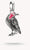 Wednesday Crow Zirconia Connect Charm Pendant in 925 Sterling Silver - Thomas Sabo Model: CC1318-691-11
