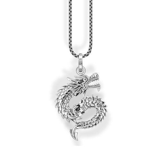 Silver chain with blackened dragon pendant, detail view