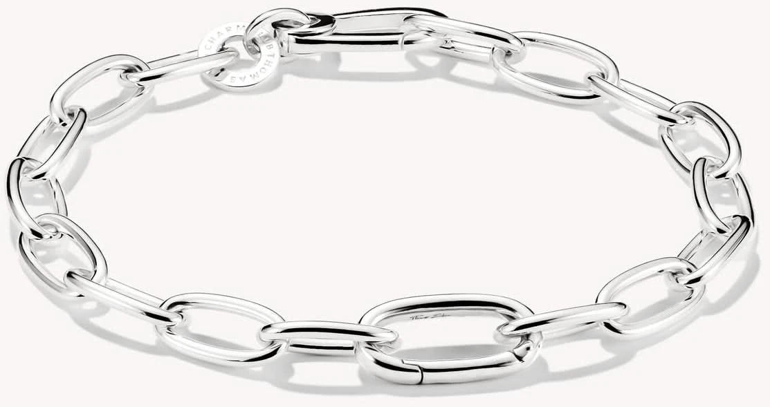 Segmented charm bracelet with a Connect Link - Thomas Sabo Model: C1204-001-21-L19