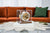 Hermle Table Clock 17x17x18.5 cm Wood • Mechanical movement • Westminster chime