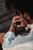 Casio Edifice ECB-900DB-1AER Men's Watch • Smart Features • Tough Solar