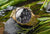Vostok Europe Vilnelė JS20-125B751B Women's Watch • Sapphire Crystal • Chronograph