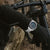Festina Chrono Bike F20724/2 Men's Watch • Sporty Chronograph Design • 20 ATM Water Resistant
