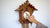 Rombach & Haas TRADITION 3407 Wall Clock Gold/Wood • Mechanical 8-Day Movement • Original Black Forest Cuckoo Clock
