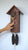Rombach & Haas CLASSIC SLM3H-10 Wall Clock Natural Wood • Mechanical 8-Day Movement • Original Black Forest Cuckoo Clock