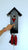 Rombach & Haas Classic SL35 H-2/3 Wall Clock Black/Red/Gold • Mechanical 8-Day Movement • Original Black Forest Cuckoo Clock