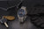 Seiko Conceptual SSB407P1 Men's Watch • Tachymeter • Precise Quartz Movement
