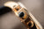 Vostok Europe Vilnelė JS20-125B751 Women's Watch • Sapphire Crystal • Rose Gold