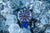 Vostok Europe Engine VK67-650A720 Men's Watch • Tritium Illumination • 30 ATM