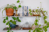 Table clock aluminum skeleton movement - Hermle Model: 23025-Q70721