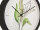 Botanical Leaves wall clock, white, diameter 26 cm - Karlsson Model: KA5885