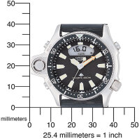 Mens watch divers watch - Series: Promaster - Citizen Model: JP2000-08E