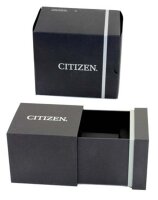 Mens Watch with Eco-Drive Series: Fielder - Citizen Model: AW0110-82EE