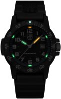 Mens watch SEA Turtle Giant - Luminox Model: XS.0324