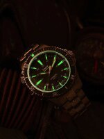Mens Watch P67 Diver Automatic Green Series: Diver Collection - Traser Model: 110328