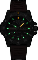 Mens watch - Luminox Model: XS.3875