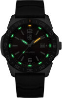Mens watch - Luminox Model: XS.3135