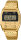 Ladies and mens watch - Casio Model: A1100G-5EF