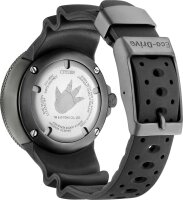 Mens Watch - Series: Promaster - Citizen Model: BJ8056-01E