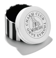 Charm-Anhänger aus recyceltem 925er Silber mit buntem Emaille-Fenster, Thomas Sabo Modell: CC1314-691-7